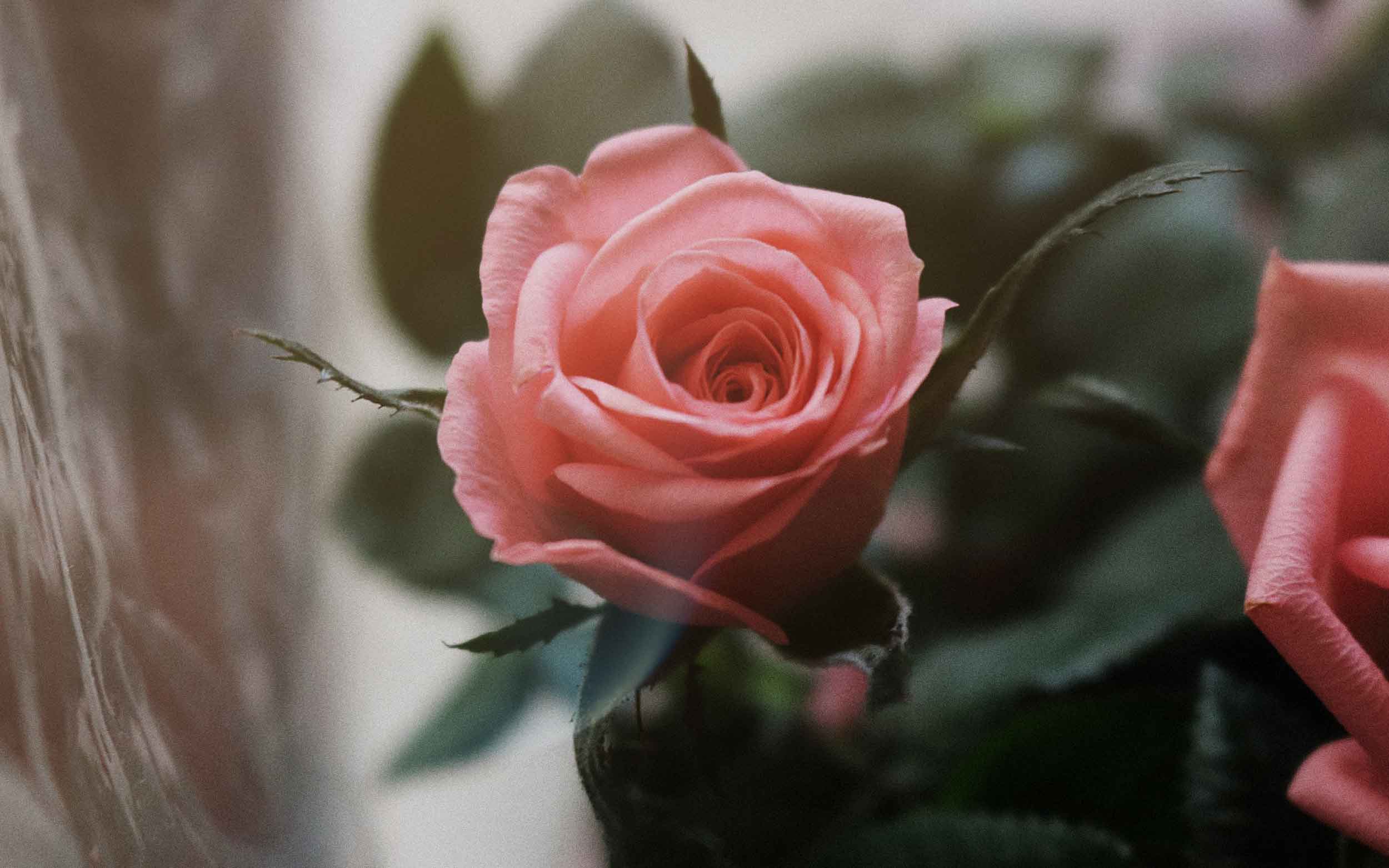 Southern Utah landscape near St. George